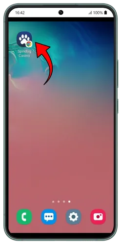 Find it on your phone's home screen